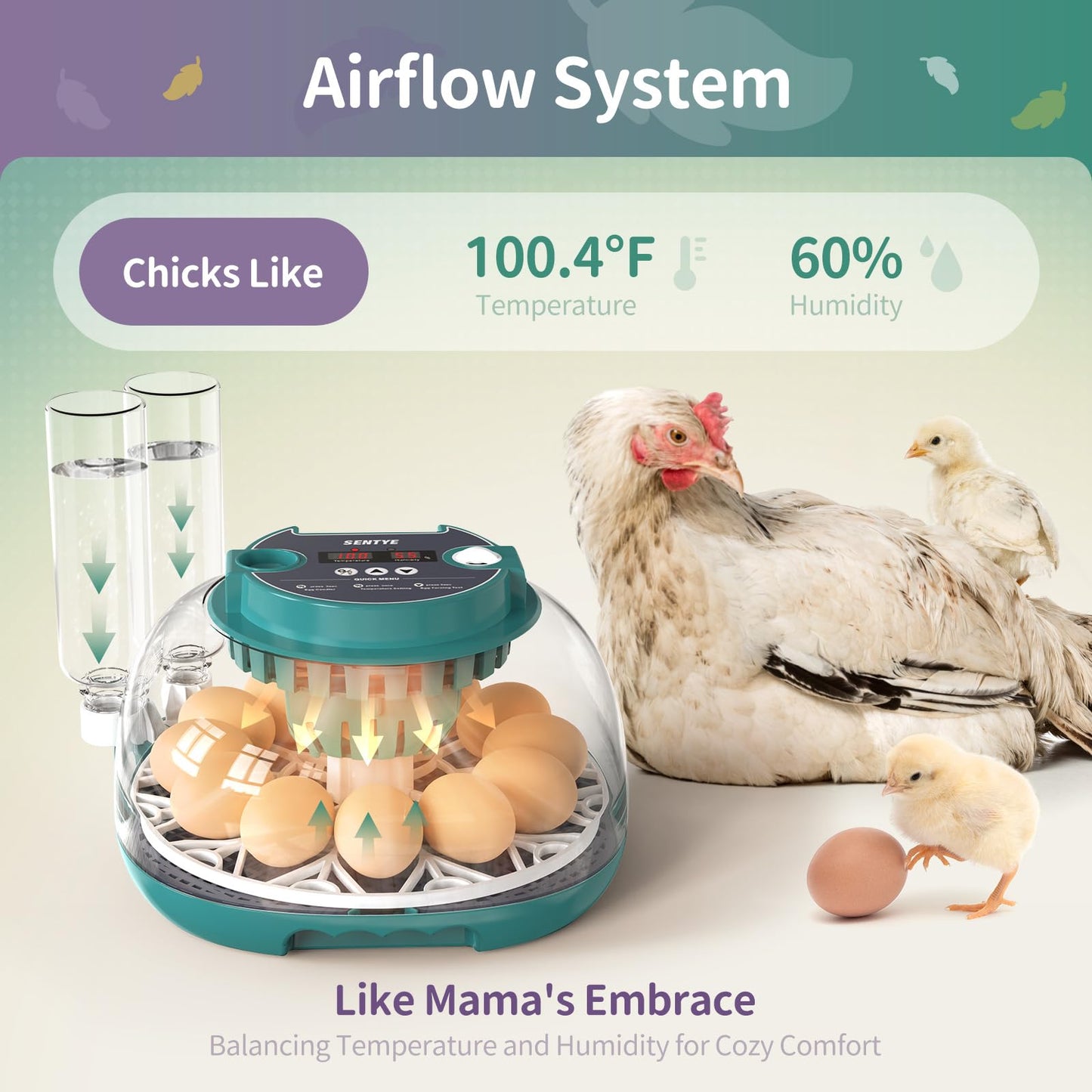 12 Egg Incubator with Automatic Egg Turning and Humidity Control, Egg Incubators for Hatching Eggs, Incubator for Chicken Eggs, Quail Eggs