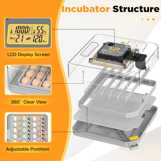 Incubator for Hatching 48 Eggs with Automatic Egg Turning and Humidity Control, Egg Incubator with Temperature, Incubators for Chicken, Ducks, Goose, Quail, Pigeon, Grey