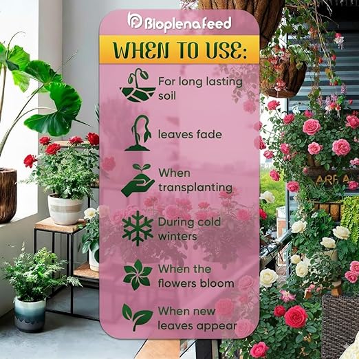 Made in The USA Rose Plant Food – Easy Cut & Stick Liquid Fertilizer for Thriving Blooms & Vibrant Foliage – Convenient 12-Pack Nutrient Solution