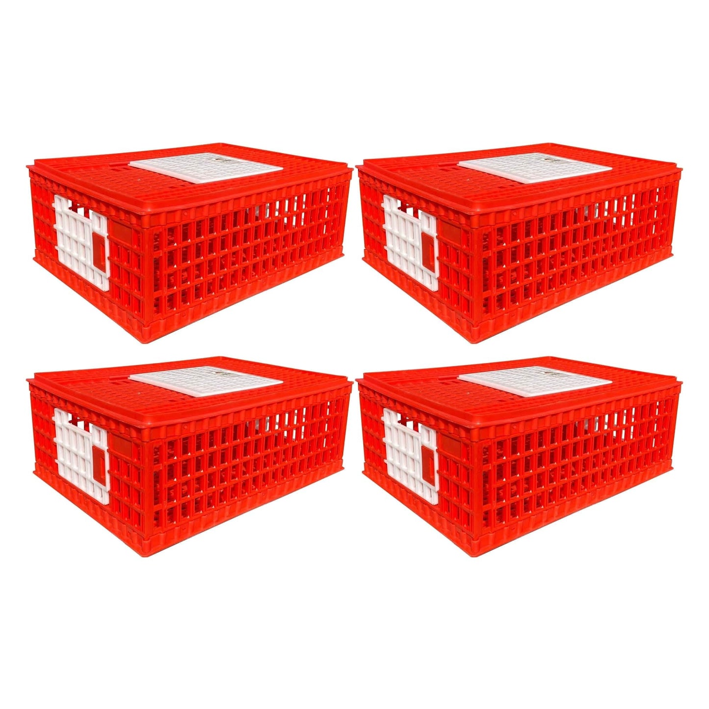 RentACoop Stackable Poultry Carrier Crate (Pack of 4) 29" L x 22" W x 12" H for Chickens