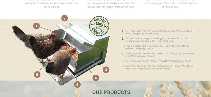 Grandpas Feeders Automatic Chicken Feeder for Large Size for 12 Chickens - Long-Lasting Galvanized Steel - Zero Waste Poultry Feeder, Spill Proof with Weatherproof Lid 10 Days (40lb Feed)
