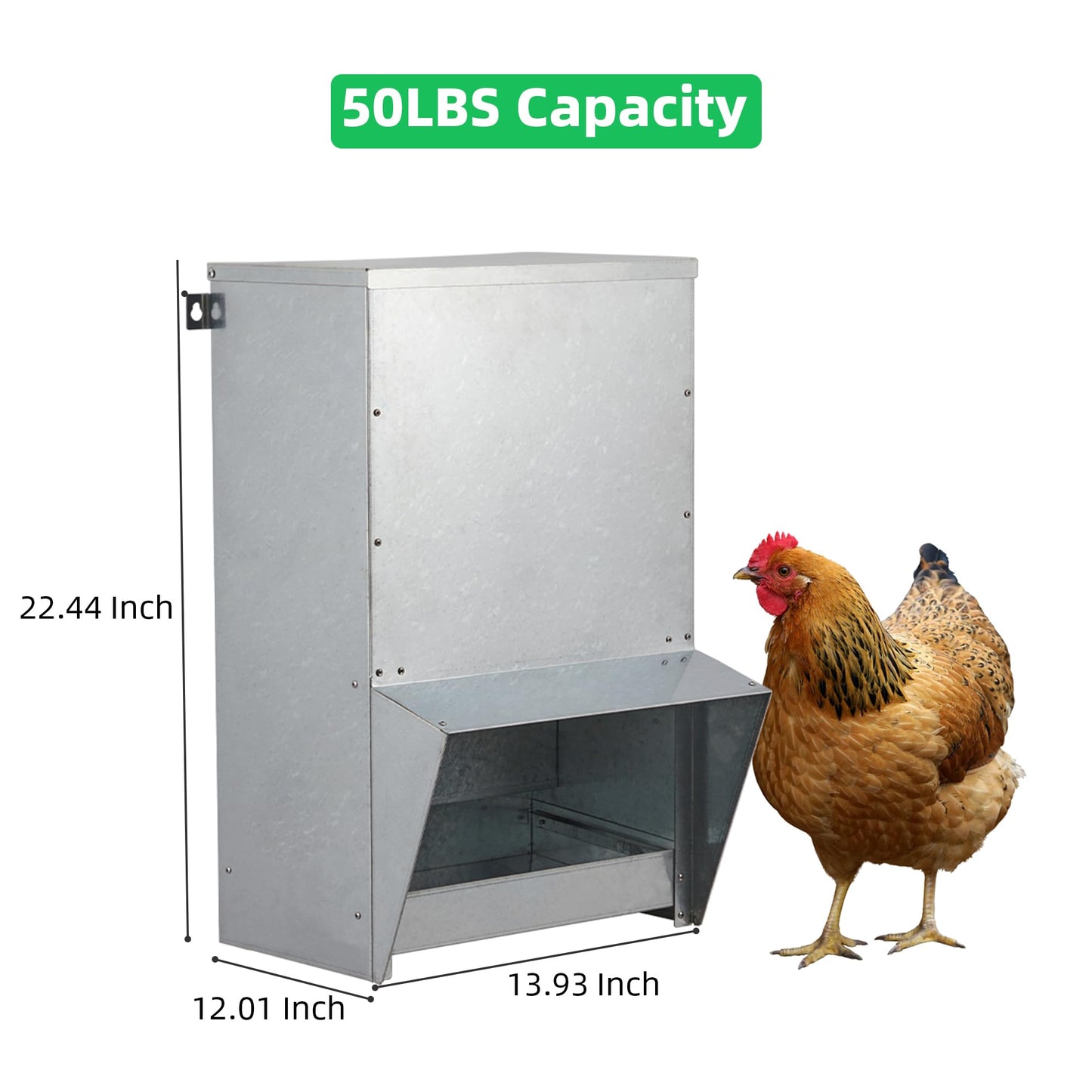 Domenow Galvanized Chicken Treadle Feeder, Poultry Feeder, 50lbs Automatic Chicken Feeder with Sides Buffer System, for 30-40 Chickens