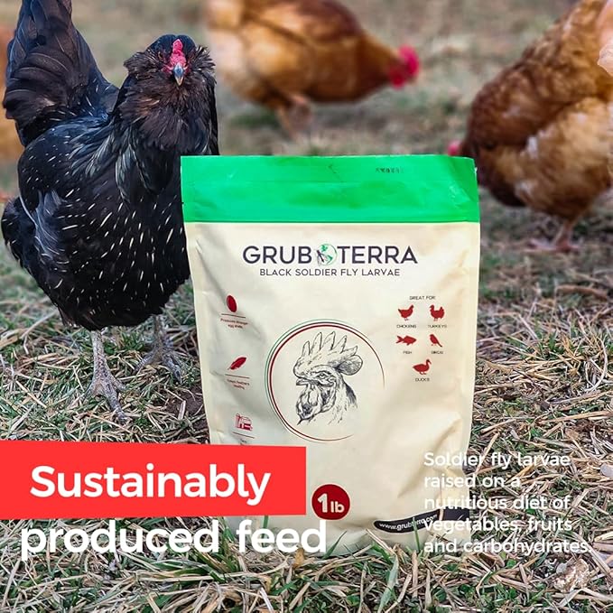 GrubTerra Golden Dried Black Soldier Fly Larvae - Premium Supplement to Increase Egg Production for Hen Treats, Bird Feed, Chicken Feeder, Pet Bird Food, and Wildbird Feed, Never from China! (5lb)