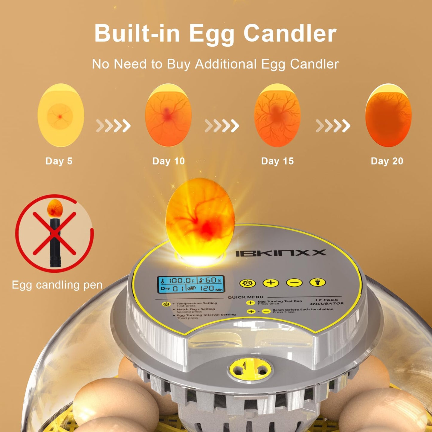 IBKINXX Incubator for Hatching Eggs-12 Egg Capacity, Automatic Egg Turner, Temperature & Humidity Control, 360° Viewing for Chicken, Duck and Quail Eggs