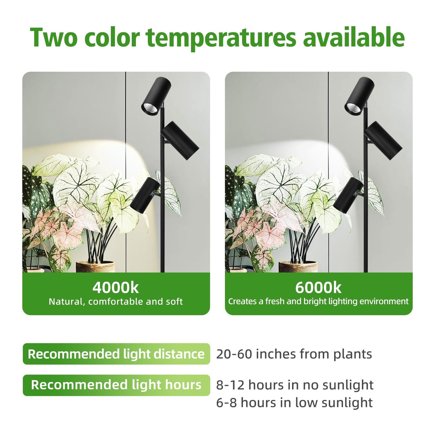 90W Dimmable Grow Light, Full Spectrum COB LED Triple-Head Floor Lamp with High CRI, 6/8/12H Timer, Adjustable Height (43"-83") & Angle – Standing Grow Lights for Indoor Plants (daylight 6000K)