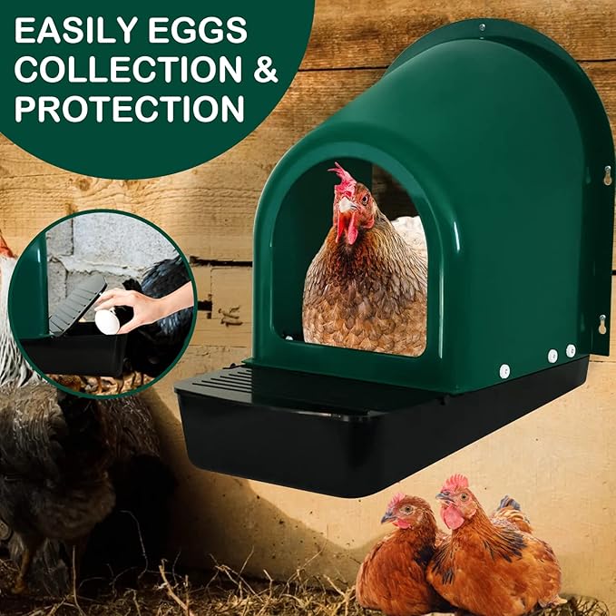 Chicken Nesting Boxes 5-Pack - with Roll-Out Egg Collection Trays - Plastic Chicken Laying Box with Perch - Wall-Mountable, Easy Assembly & Cleaning (Green)