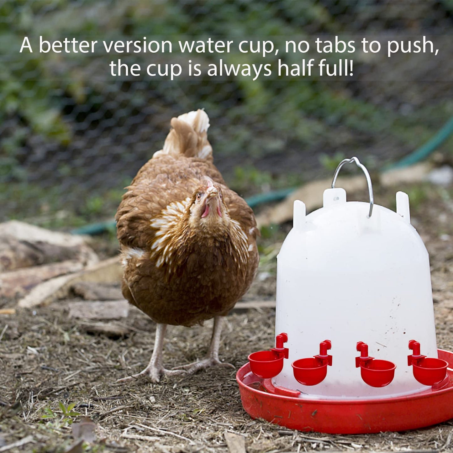 Chicken Water Cup Waterer for Poultry, 3/8 in Automatic Filling Waterer Poultry Drinking Bowl Chicken Water Feeder, Automatic Poultry Drinking Bowl for Duck Turkey Rabbit Geese Farm (6)