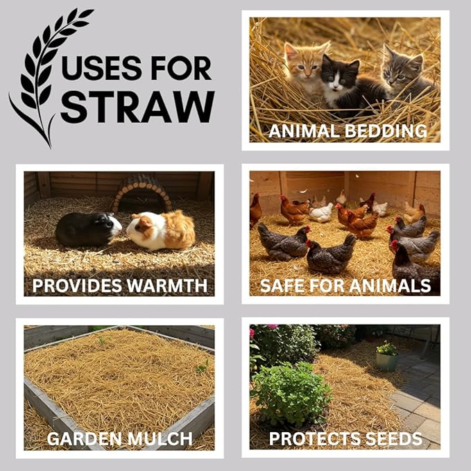 100% Natural Wheat Straw for Animal Bedding, Garden Mulch, Compost & Fertilizer, and Grass Cover (4 Pounds)