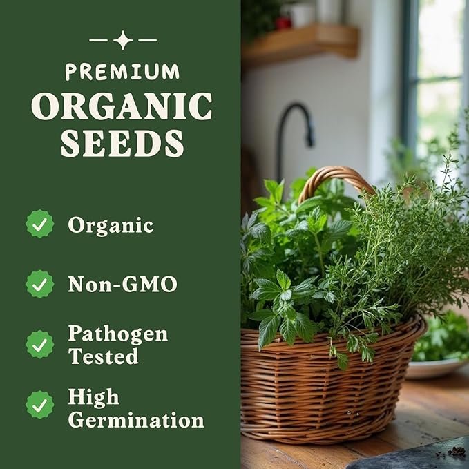 Seedboy Organic 10 Herb Variety Pack: Basil, Cilantro Mint Oregano Parsley Thyme Chives Dill Sage Rosemary for Planting Indoor and Outdoor, 5460 Non-GMO USDA Certified Seeds (10 Herb Variety Pack)