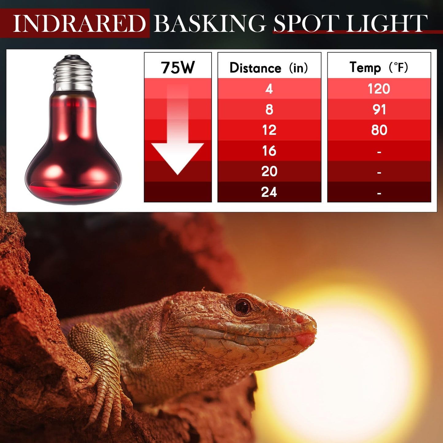 VIHOSE 6 Pack 75 W Reptile Heat Bulbs Red Heat Lamp Bulb Infrared Lamp Red Basking Light Bulbs for Reptiles, Bearded Dragon, Lizard, Tortoise, Chickens, Leopard Gecko, Amphibian, Pets