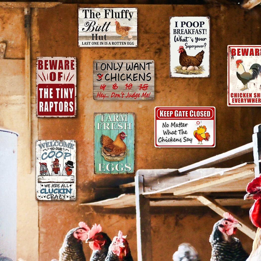 8 Pack Chicken Coop Accessories, Funny Chicken Coop Metal Signs Outdoor Chicken Decor Chickens Farm Personalized Tin Sign Chicken Gifts For Chicken Lovers Chicken House Decor 8×12 Inch