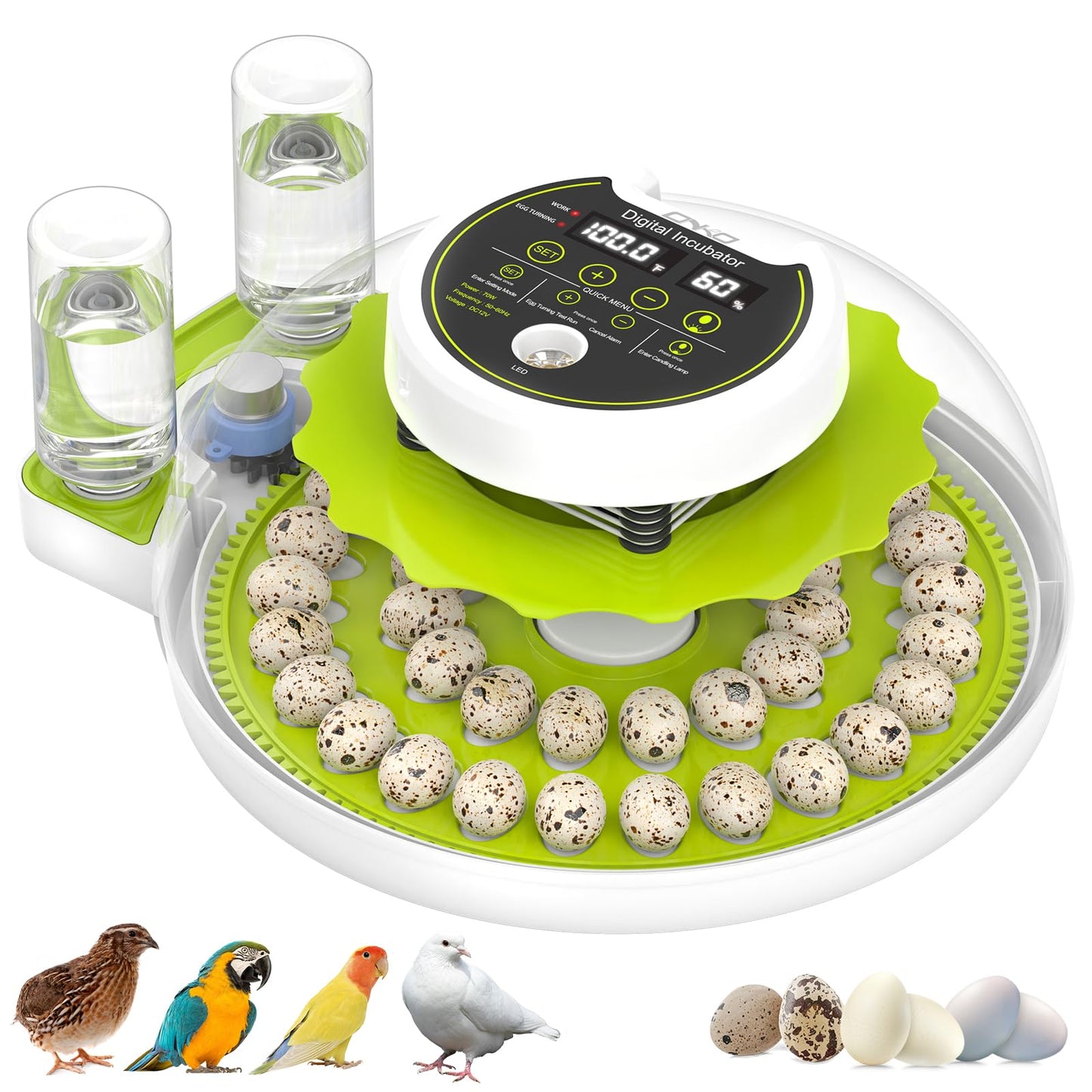 Quail Egg Incubator for Hatching Eggs with Automatic Egg Turning and Humidity Control 40 Eggs Large Capacity Quail Brooder Poultry Incubators, Also for Parrot, Dove, Canary and Other Birds
