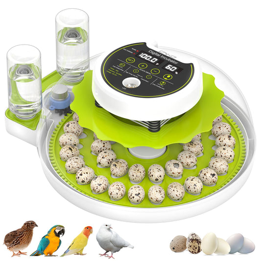 Quail Egg Incubator for Hatching Eggs with Automatic Egg Turning and Humidity Control 40 Eggs Large Capacity Quail Brooder Poultry Incubators, Also for Parrot, Dove, Canary and Other Birds