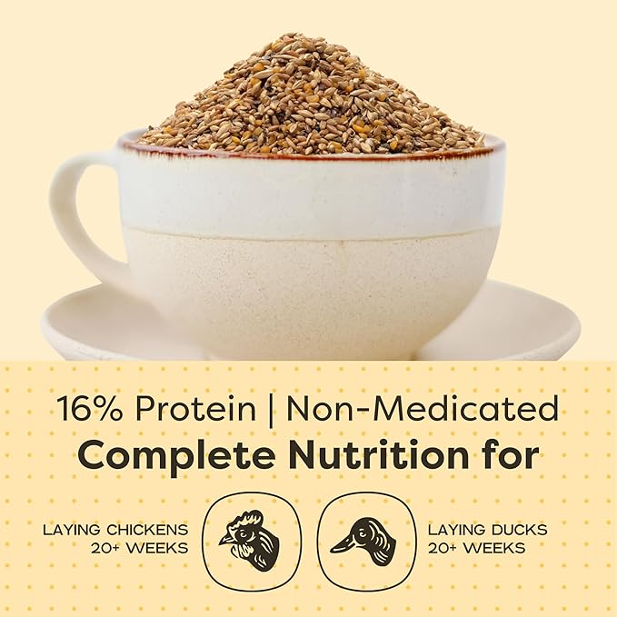 Scratch and Peck Feeds Whole Grain Layer Mash Chicken and Duck Feed - Corn-Free and Soy-Free - 16% Protein, Certified Organic and Non-GMO Project Verified Chicken Food - 50 lbs Bag