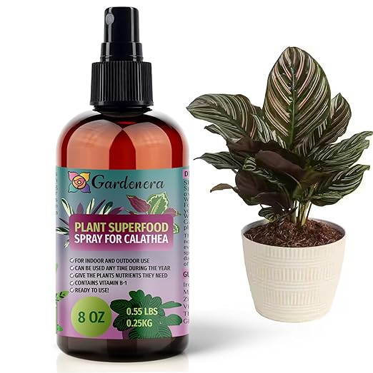 𝐁𝐄𝐒𝐓𝐒𝐄𝐋𝐋𝐄𝐑 Plant Superfood for CALATHEA Plants with B1 Vitamin, Glucose and Essential Minerals - Organic Plant Food Fertilizer for Indoor & Outdoor CALATHEA Plant Care - 8oz