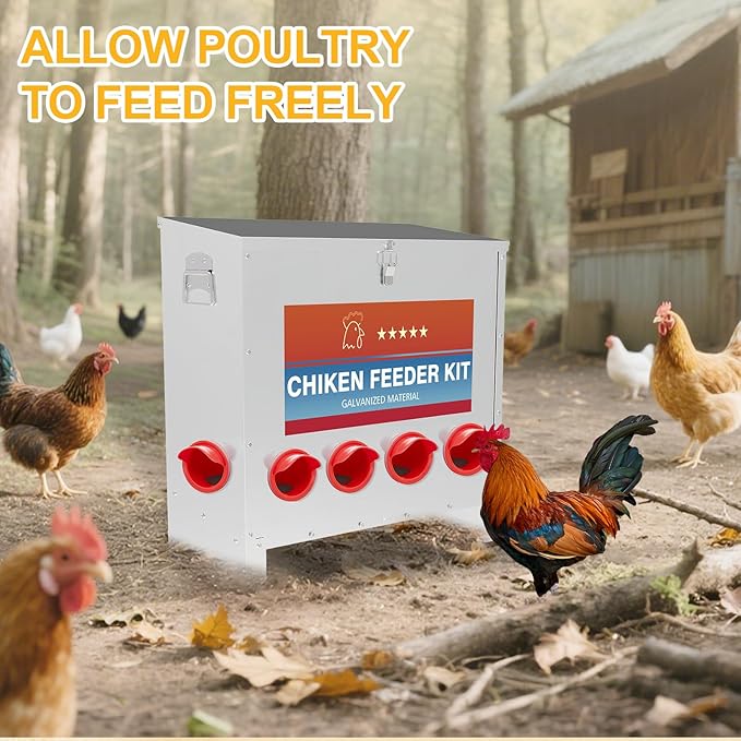 Automatic Chicken Feeder 6 Ports 85 Pounds Large Gravity Fed Chicken Feeder with Latch & Handle for Chickens, Geese, Ducks, Turkeys, Quails, Weatherproof