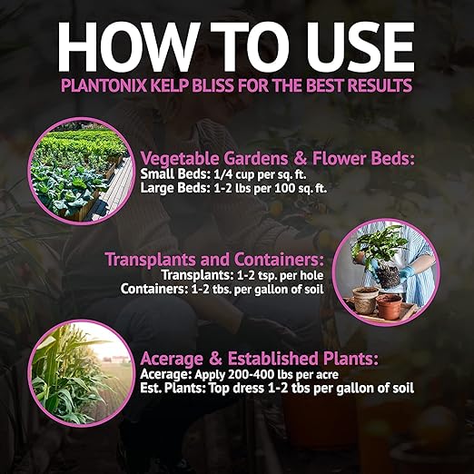 Kelp Bliss (40lbs) - Kelp Meal Organic Fertilizer for Plants, Garden Soil, Flowers, Vegetables, & Lawns - Organic Plant Food Rich in Vitamins & Nutrients - 100% Natural Renewable Soil Amendment