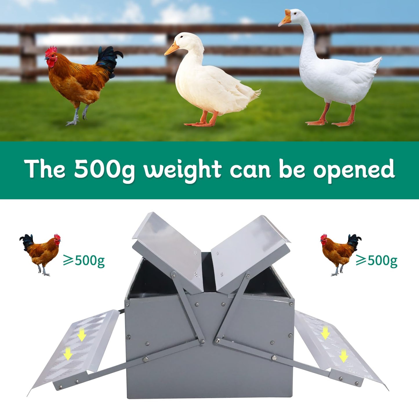 Automatic Chicken Feeder No Waste Rat Proof Treadle 22lb Metal Poultry Feeding Trough with Weatherproof Lid for Pheasants Hens Roosters Duck Fowl Outdoor Coop