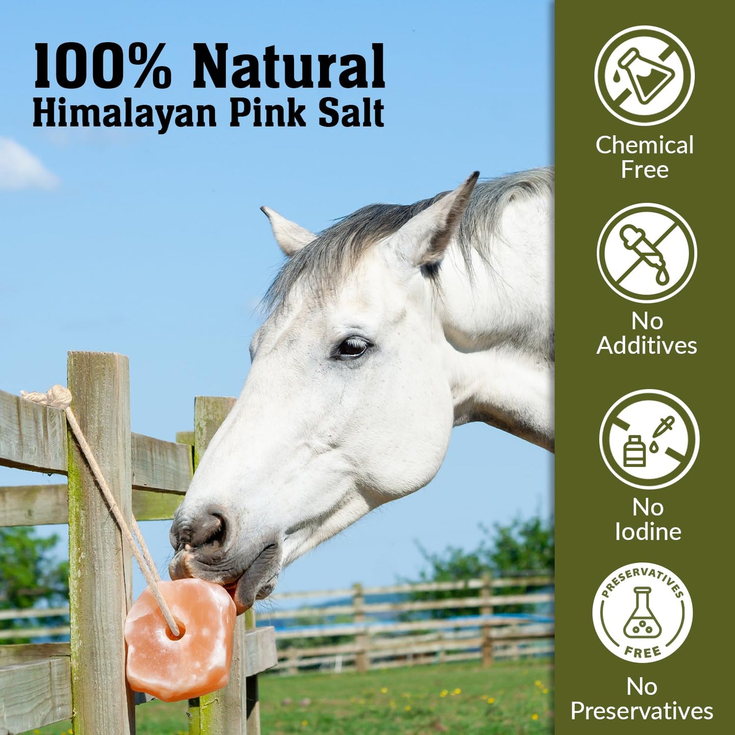 Himalayan Nature Salt Lick for All Animals – 100% Natural Pure Salt Rock for Horses, Rabbits, Cattle and Livestock – Long Lasting | Pack of 2