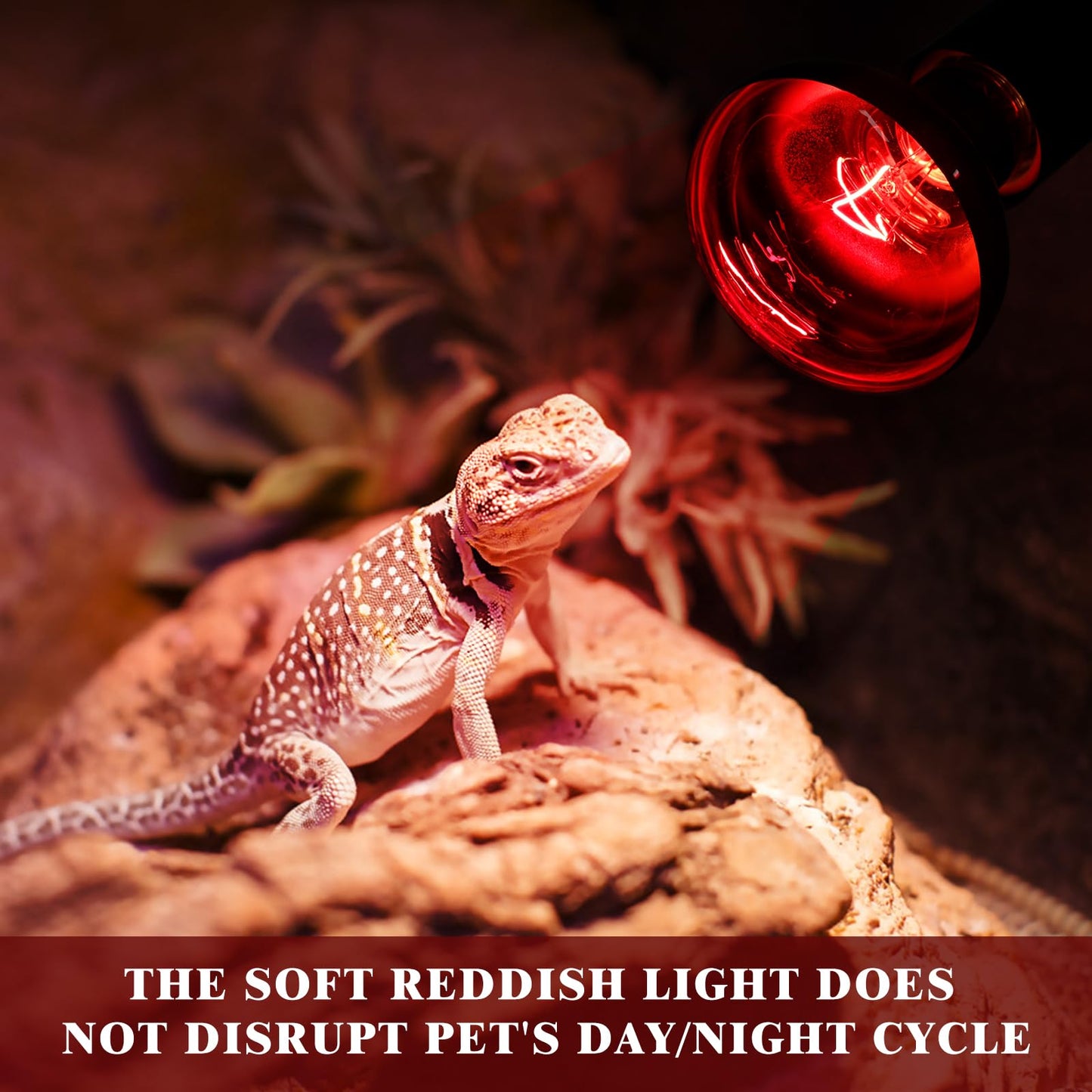 REPTI HOME Reptile Heat Lamp,50W Red Basking Spot Lamp Bulb for Chickens Amphibians, Infrared Heat Emitter Light for Coop