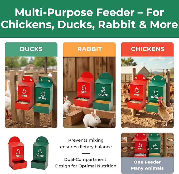 Wall Mounted Chicken Grit and Oyster Shell Feeder Set, Heavy Duty Metal Poultry Accessories with Dual Compartments, Rustproof Hanging Feed Dispensers for Coop or Fence