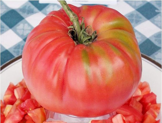 Mortgage Lifter Tomato Seeds - Large Tomato - One of The Most Delicious Tomatoes for Home Growing,