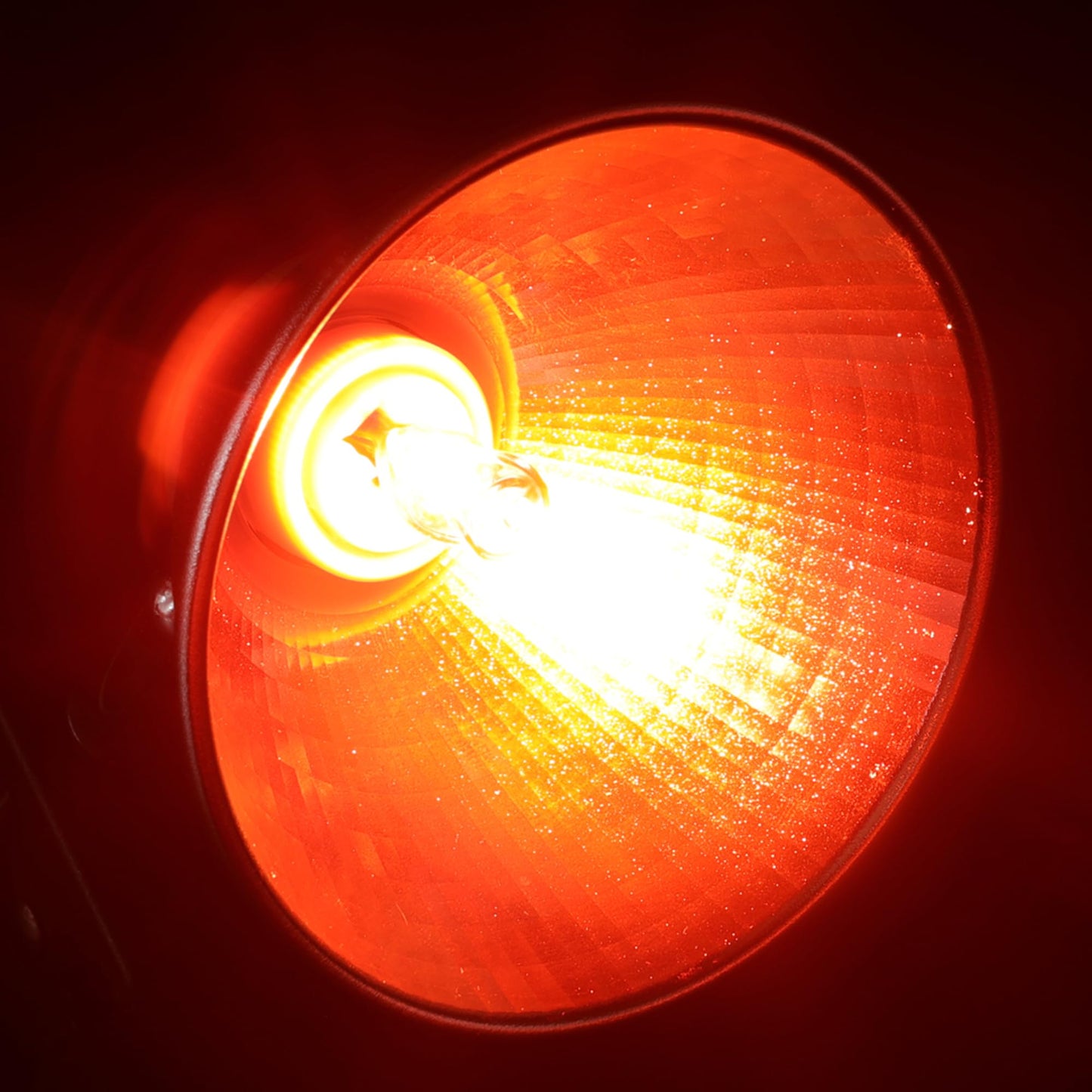 Heat Lamp for Chickens Coop Tiny Chick Brooder, Infrared Flood Light Red Bulbs Replaceable E26 Base 50 Watt Chick Heater for Reptile Pets Duckling Poultry Livestock