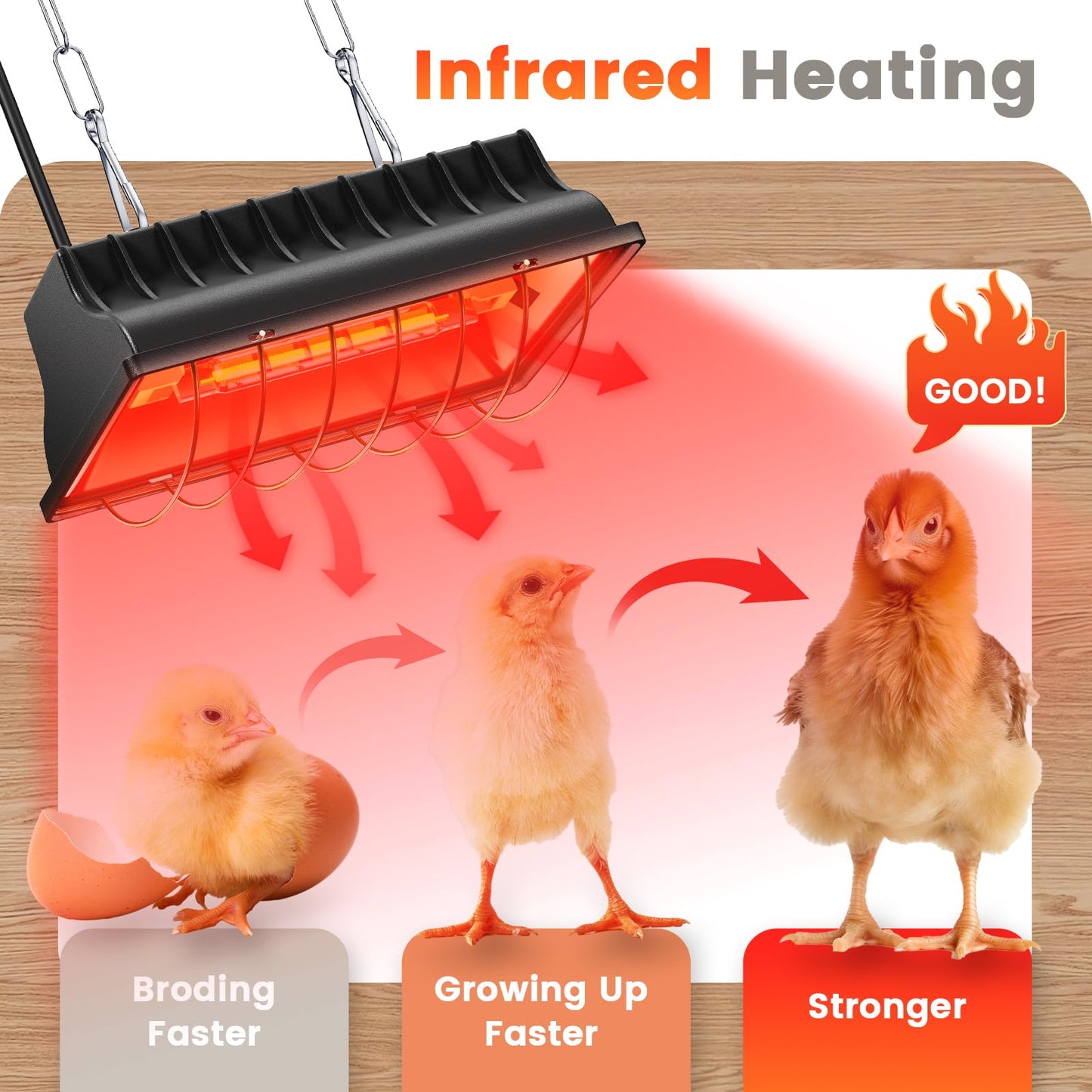 Chicken Coop Heating Lamp, 250W Brooder Heater for Chicks 13.12ft Cord UL Passed Heating Plate & Heat Lamp with Adjustable Hanging Height for Livestock Supplies Indoor Warmer
