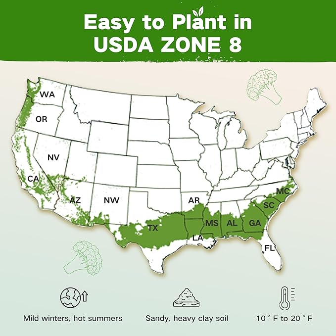 Lush&Dew Year-Round USDA Zone 8 Seed Bank, 32 Varieties Non-GMO Heirloom Seeds of Vegetables, Herbs Gardening Gifts for Women Men, Emergency, Survival Kit for Raised Garden Bed, Greenhouse