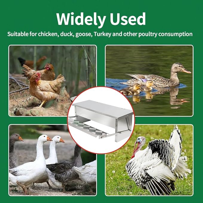 MODUODUO Automatic Chicken Feeder Treadle Poultry Feeders 11lb/5kg Feeding Trough for Chickens, Pheasants, or Roosters