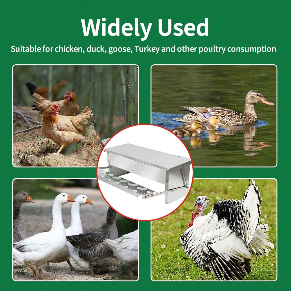 MODUODUO Automatic Chicken Feeder Treadle Poultry Feeders 11lb/5kg Feeding Trough for Chickens, Pheasants, or Roosters