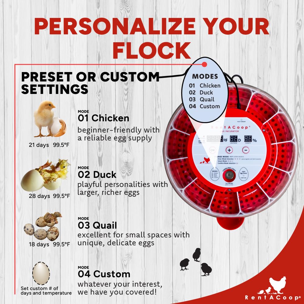 RentACoop 16-Egg Smart Incubator – App Controlled, Auto-Turn, Built in Candeling Light Perfect for Chickens, Ducks, and Quail!
