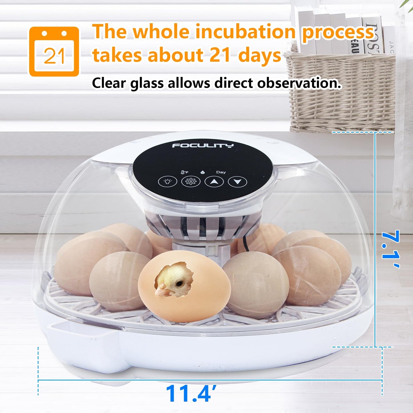 FOCULITY Egg Incubators for Hatching Eggs with Smart Automatic Turning Small Poultry Duck Quail 12 Eggs Chicken Incubator Temperature Days Control Humidity Display Candler Hatcher Machine, Fahrenheit