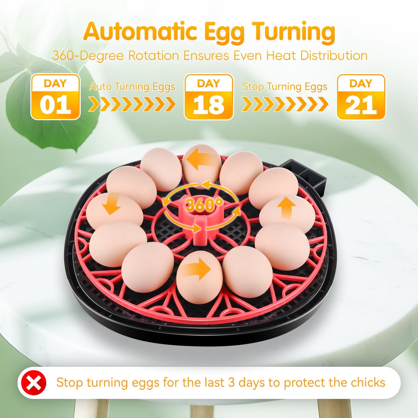 Incubator for incubating Eggs,12 Egg with Temperature and Humidity Control, Automatic Egg Turner, Egg Candler, External Water Bottle Refill, 360° Clear View, Hatching Chicken Duck Quail Bird