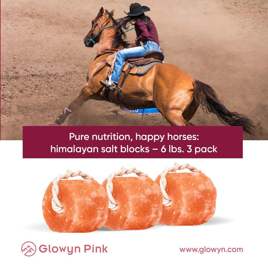 Glowyn Pink Himalayan Pink Salt Lick Pack of 3 (6lbs Each Block)- Mineral Salt Block on Rope 100% Organic Pink Salt Block for Horses Deer and Live Stock. Deer Attractant for Deer Hunting