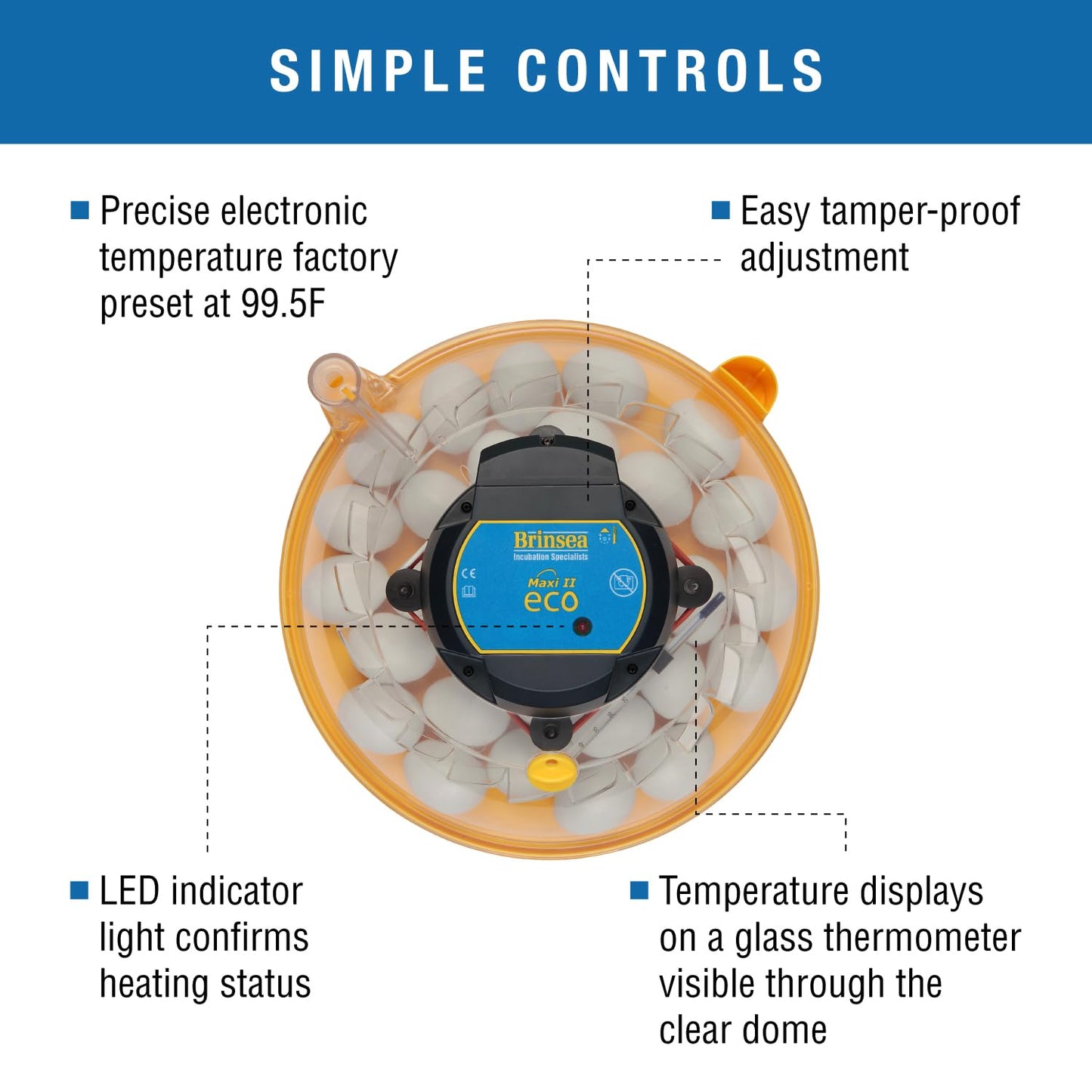 Brinsea Maxi II Eco Manual Egg Incubator with Electronic Temperature Control, Fan Assisted Air Circulation for Hatching 30 Chicken, Duck, or Other Eggs, Ideal for Beginners