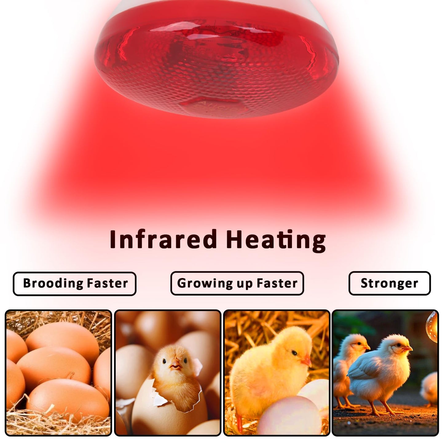Aiicioo Infrared Heat Lamp Bulb 250W Red Infrared Heat Bulb for Chickens Reptile Heat Light Bulb for Brooder Coop Chicks Pet Reptile Amphibians Par38 Glass E26 Base