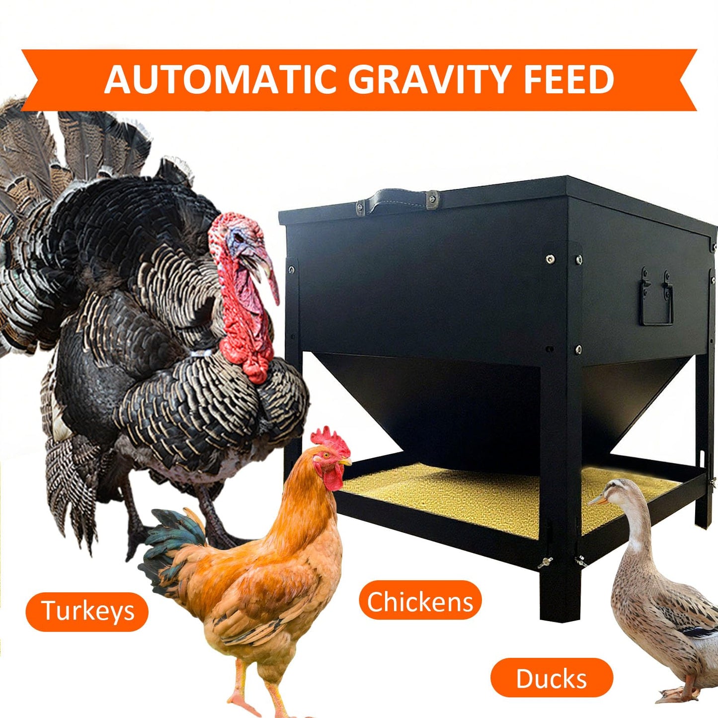 Large Capacity Automatic Chicken Feeder 80lbs Metal Poultry Feeder Set,with Latch & Handle Suitable for Chickens, Ducks, Turkeys（Adjustable Height）