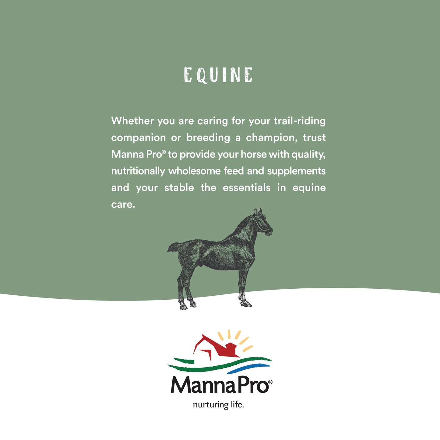 Manna Pro Bounce Back, 4 oz
