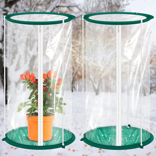 Nuanchu 2 Pieces Mini Greenhouse 19.7 x 10.2 Inch Portable Plant Flowers Mini Cover PVC Clear Greenhouse for Indoor Outdoor Gardening