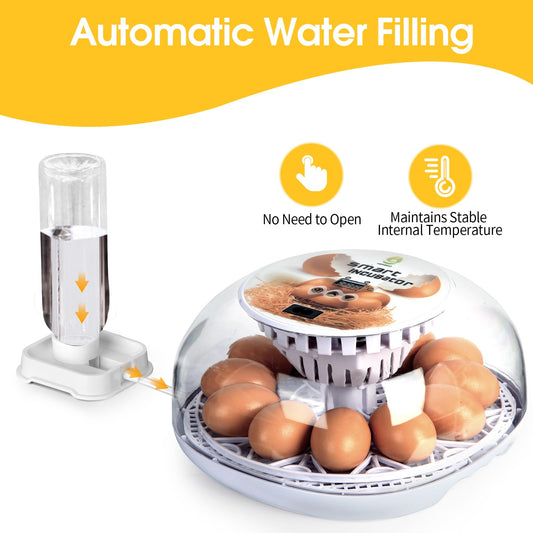 ZEMIRO CHARGE 12 Egg Incubator with Automatic Turning, Humidity Control, Auto Water Addition, for Hatching Chicken, Goose, Duck, Quail, Pigeon, and Turkey Eggs (12 Egg Incubator)