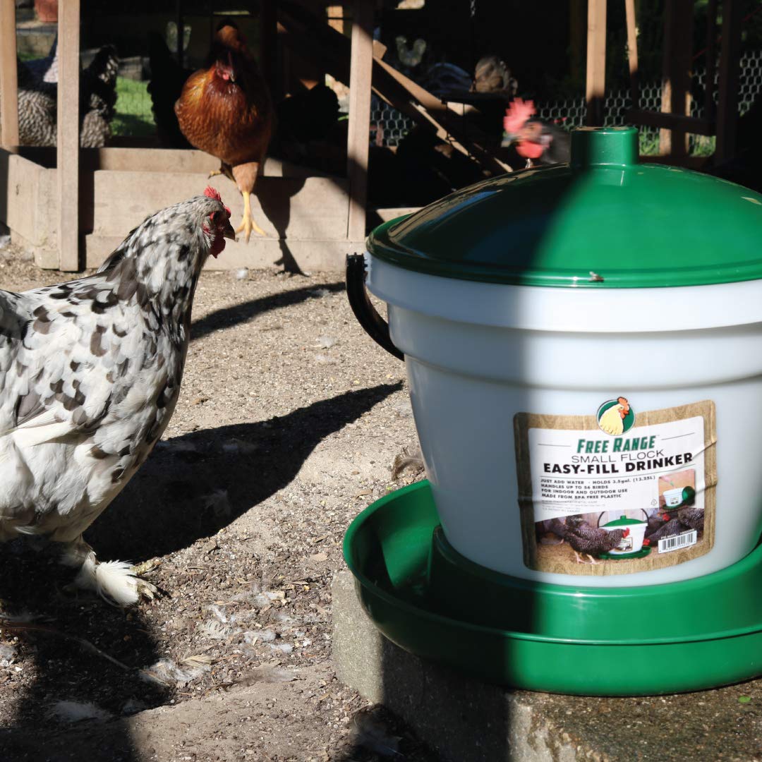Harris Farms Large Flock Easy-Fill Poultry Drinker, Made with BPA-Free Plastic, Top Fill Design, 6.25 Gallon