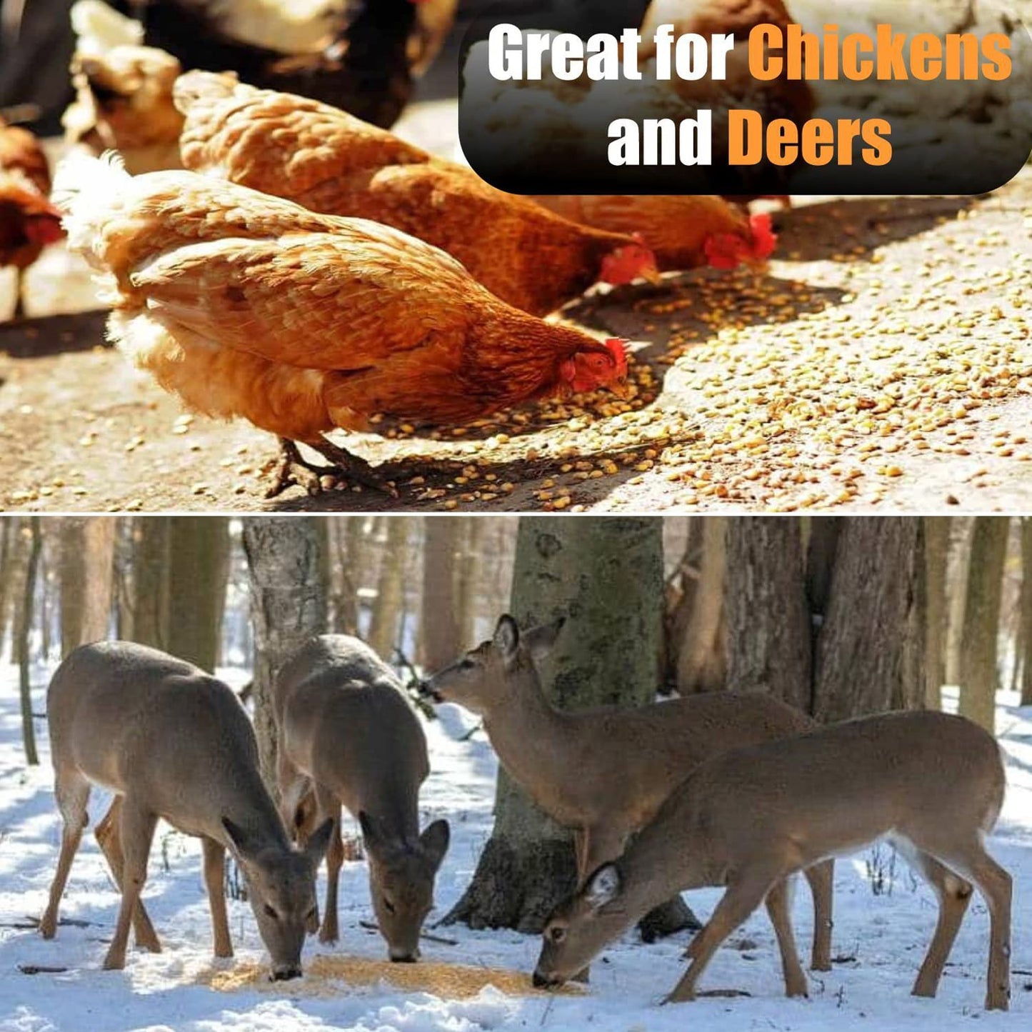 Old Potters Premium Coarse Cracked Corn for Deer Corn, Chickens and Wildlife, 15 lbs