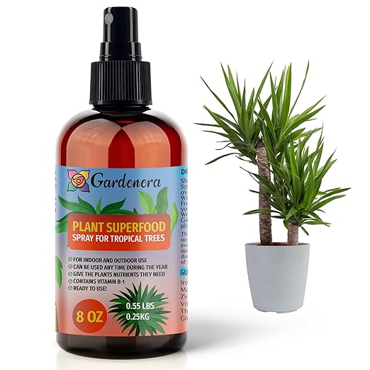 𝐁𝐄𝐒𝐓𝐒𝐄𝐋𝐋𝐄𝐑 Plant Superfood for Tropical Plants with B1 Vitamin, Glucose and Essential Minerals - Organic Plant Food Fertilizer for Indoor & Outdoor Tropical Tree Care - 8oz