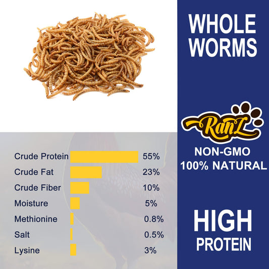 RANZ 2LBS Non-GMO Dried Mealworms for Chickens, High Protein Meal Worms, Premium Chicken Feed, Whole Large Mealworms for Blue Birds, Ducks, Fish