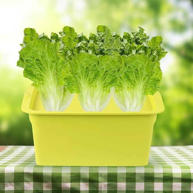 Hydroponics Grower Kit Hydroponic SystemSelf Watering Indoor Hydroponics Tools DIY Planting Container Include Aquarium Air Pump Buoy Planting Box