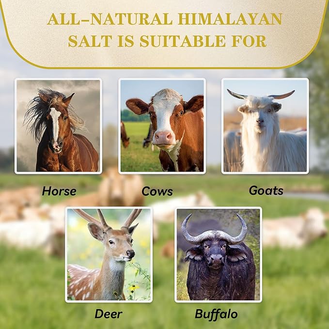 3 Pack Himalayan Salt, Lick Natural Mineral Block Rope Long-Lasting Raw Pink Salt Lick Suitable for Horses, Deer, Cattle, Goats and Other Livestock(10.55-12 LBS)