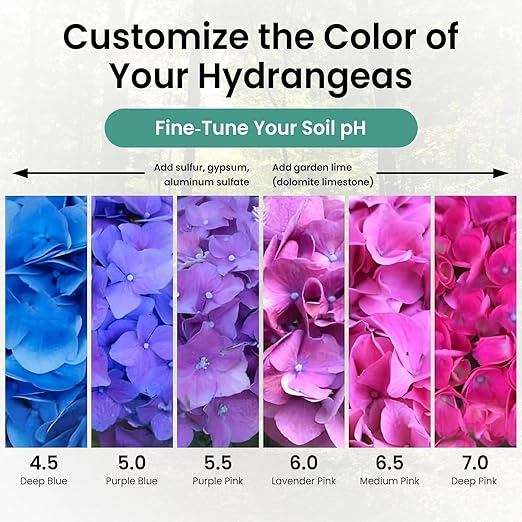 Soil pH Test Kit (3-9 Range) 100 Soil pH Tester Strips, Test Soil of Garden Lawn Grass Vegetable Flower Compost Indoor & Outdoor Plants