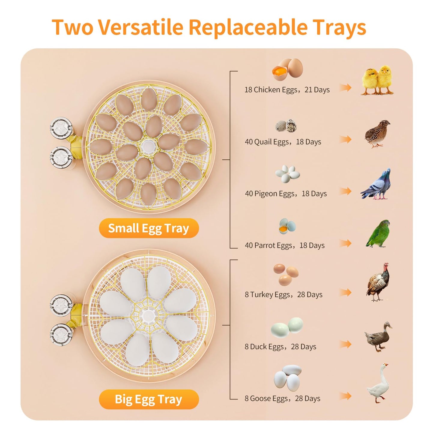 18 Egg Incubator with Automatic Egg Turning and Humidity Control, Upgrade Egg Incubators for Hatching Eggs Chicken Ducks Goose Quail Pigeon Turkey, Automatic Incubator for Home Classroom Lab Farm