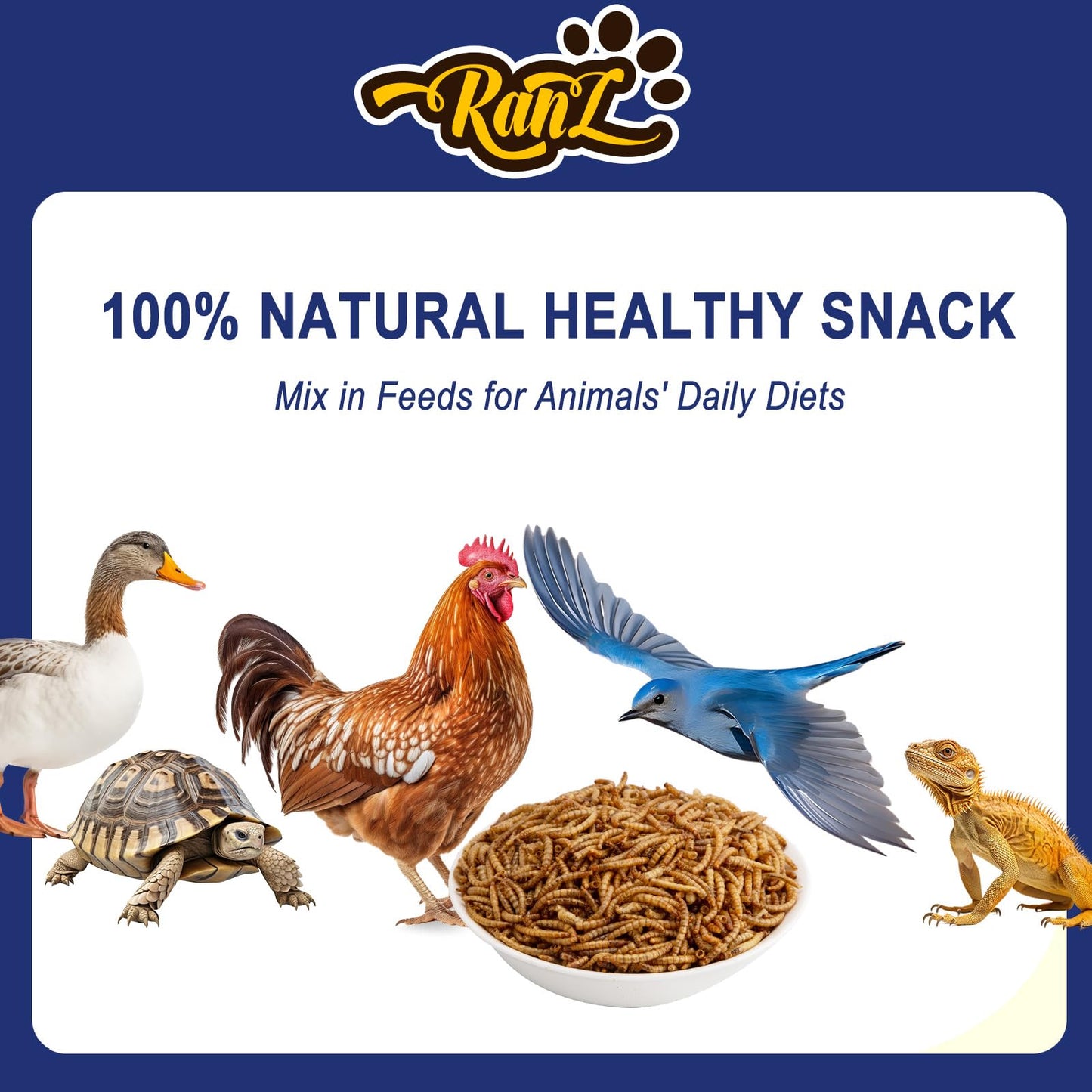 RANZ 2LBS Non-GMO Dried Mealworms for Chickens, High Protein Meal Worms, Premium Chicken Feed, Whole Large Mealworms for Blue Birds, Ducks, Fish